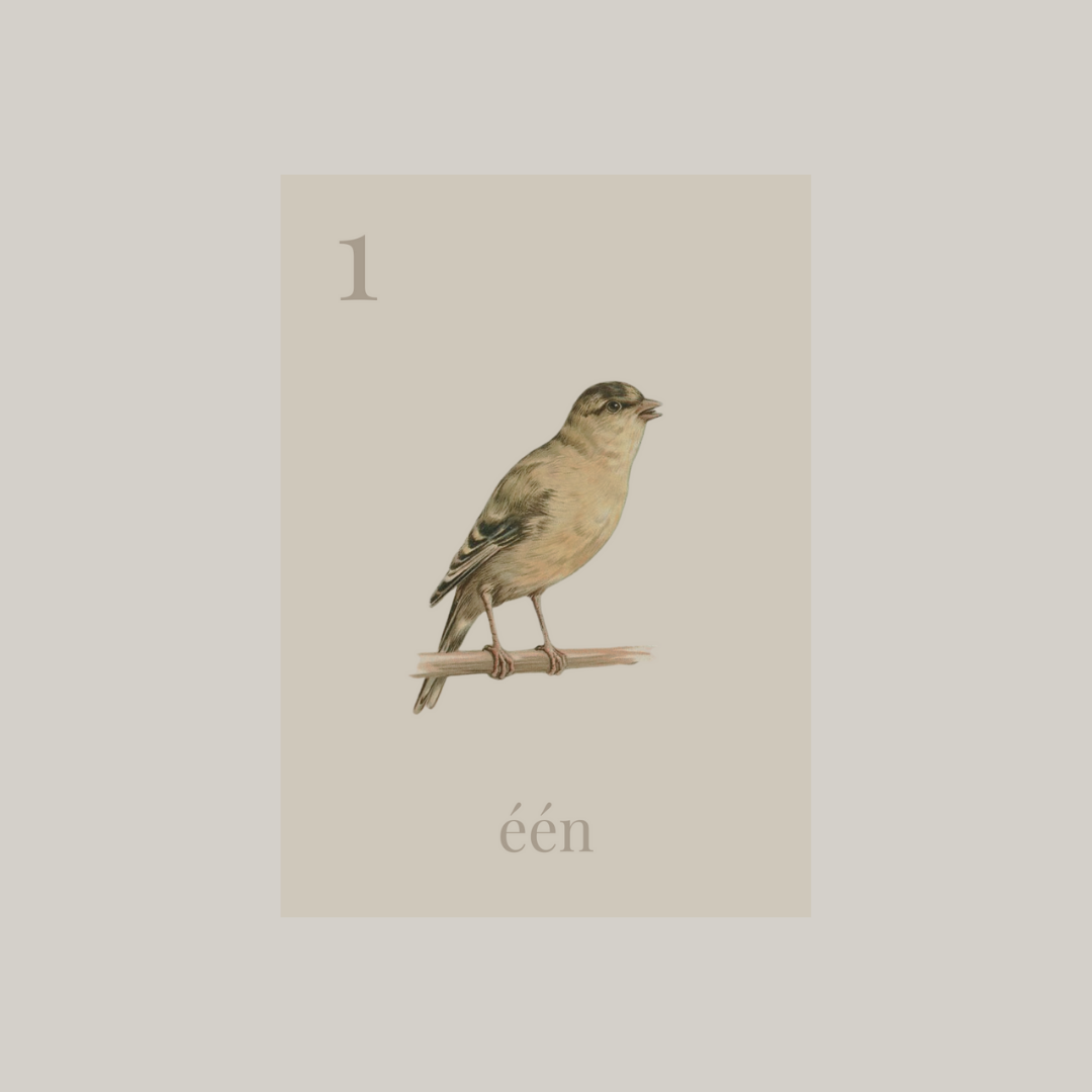 cijferkaart-cijfer 1-één vogel