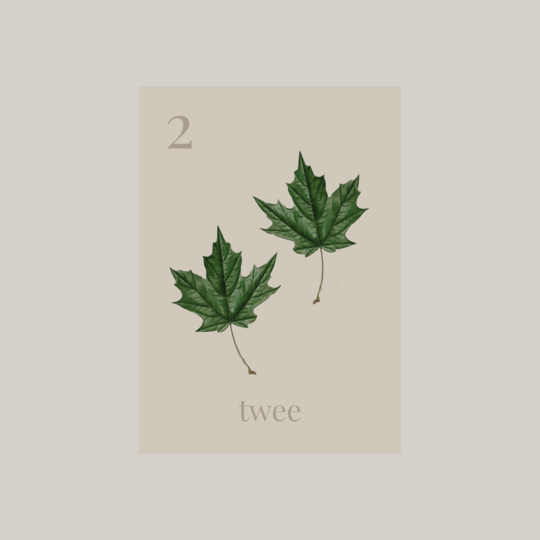 cijferkaart-cijfer 2-twee bladeren
